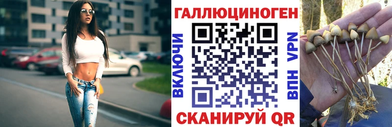 ссылка на мегу ТОР  Пестово  Псилоцибиновые грибы Psilocybine cubensis 